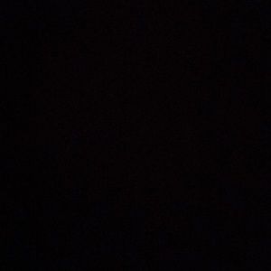 Meet your Posher, Shari